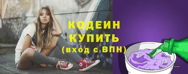 хмурый Вяземский