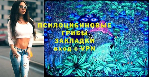 spice Вязьма