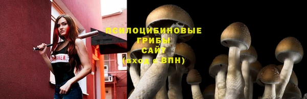 spice Вязьма
