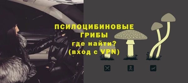 хмурый Вяземский