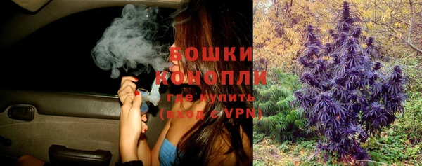 spice Вязьма