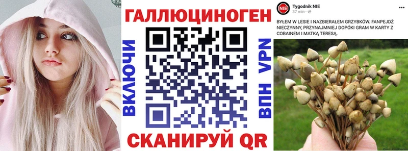 Галлюциногенные грибы Psilocybe  mega маркетплейс  Брянск  купить закладку 